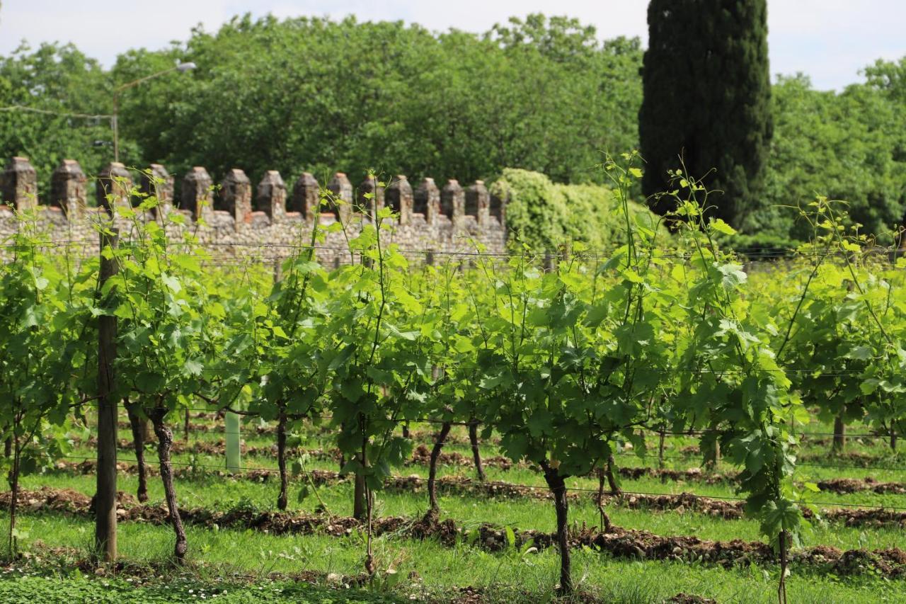 Volpe Pasini - Wine And Rooms Togliano エクステリア 写真